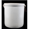 Image 8 : Early 20th Century Red Wing 4 Gallon Glazed Crock