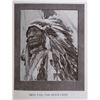 Image 8 : Stirring Lives of Buffalo Bill and Pawnee Bill