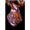 Image 9 : Baltic Yellow Amber Necklace