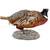 Image 8 : Montana Ring Neck Pheasant Standing Mount