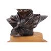 Image 8 : First Drive Bronze Sculpture by Roger Kruckenberg