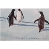 Image 8 : K. Shackleton (1923-2015) Framed Mt. Erebus Print