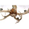Image 10 : Rustic Deer Antler Mold Chandelier