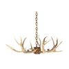 Image 1 : Rustic Deer Antler Mold Chandelier