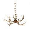 Image 2 : Rustic Deer Antler Mold Chandelier