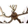 Image 3 : Rustic Deer Antler Mold Chandelier