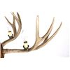 Image 8 : Rustic Deer Antler Mold Chandelier