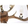 Image 9 : Rustic Deer Antler Mold Chandelier