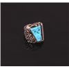 Image 2 : Navajo Sleeping Beauty Turquoise Ring