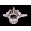 Image 1 : Deer Lodge Recovered Vertebra & Indian Arrow Head