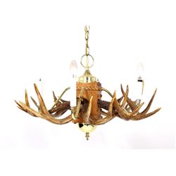 Rustic Deer Antler Mold Chandelier