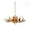 Image 2 : Rustic Deer Antler Mold Chandelier