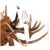 Image 8 : Rustic Deer Antler Mold Chandelier