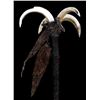 Image 4 : Boar Tusk and Bird Wing Wand War Club