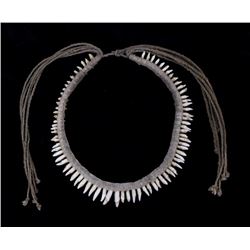 Early Canidae Teeth Necklace
