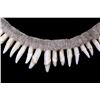 Image 2 : Early Canidae Teeth Necklace