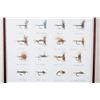 Image 8 : Signed B. White "Dry Flies & Nymphs" Print