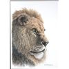 Image 2 : Signed Kim E. Burrough Lion's Head Portrait