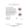 Image 5 : 5.78 ctw Ruby And Diamond Ring - 14KT White Gold