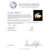 Image 5 : Pearl and Diamond Ring - 14KT Yellow Gold