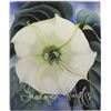 Image 1 : Georgia O'Keeffe One Hundred Flowers, Softback
