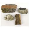 Image 1 : Petrified Wood, Crawstone (Purisima Stone), and Fossil Specimens