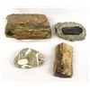 Image 2 : Petrified Wood, Crawstone (Purisima Stone), and Fossil Specimens