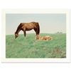 Image 1 : Mare and Foal by Nelson, William