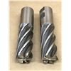 Image 3 : (2) QUINCO BRITE EDP# 29030 END MILL