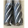 Image 5 : (2) QUINCO BRITE EDP# 29030 END MILL