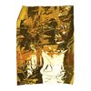 Image 1 : Apollo 11 Kapton Foil