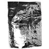 Image 2 : Apollo 11 Kapton Foil