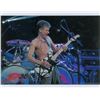 Image 10 : Eddie Van Halen