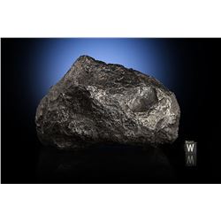 Campo del Cielo Iron Meteorite Whole Individual