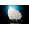 Image 1 : Dronino Iron Meteorite Slice