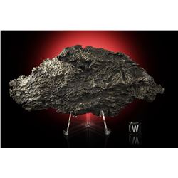 Dronino Iron Meteorite Whole Individual