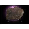 Image 1 : El Tiro Chondrite Meteorite Slice