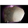 Image 2 : El Tiro Chondrite Meteorite Slice