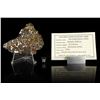 Image 1 : NWA 10023 Pallasite Meteorite Slice