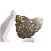 Image 2 : NWA 10023 Pallasite Meteorite Slice
