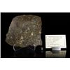 Image 3 : NWA 10514 Eucrite Meteorite Slice