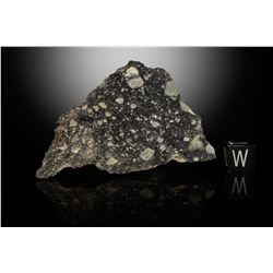 NWA 11474 Lunar Meteorite End Cut