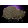 Image 1 : NWA 12322 Carbonaceous Chondrite Meteorite Slice