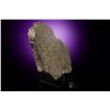 Image 2 : NWA 12322 Carbonaceous Chondrite Meteorite Slice