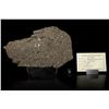 Image 3 : NWA 12322 Carbonaceous Chondrite Meteorite Slice