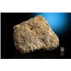 Image 1 : NWA 8555 Eucrite Meteorite Whole Individual