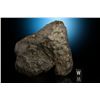 Image 2 : NWA 8555 Eucrite Meteorite Whole Individual