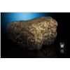 Image 3 : NWA 8555 Eucrite Meteorite Whole Individual