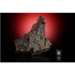 Sikhote-Alin Iron Meteorite Whole Individual