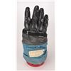 Image 1 : Apollo Era A6L Glove Assembly